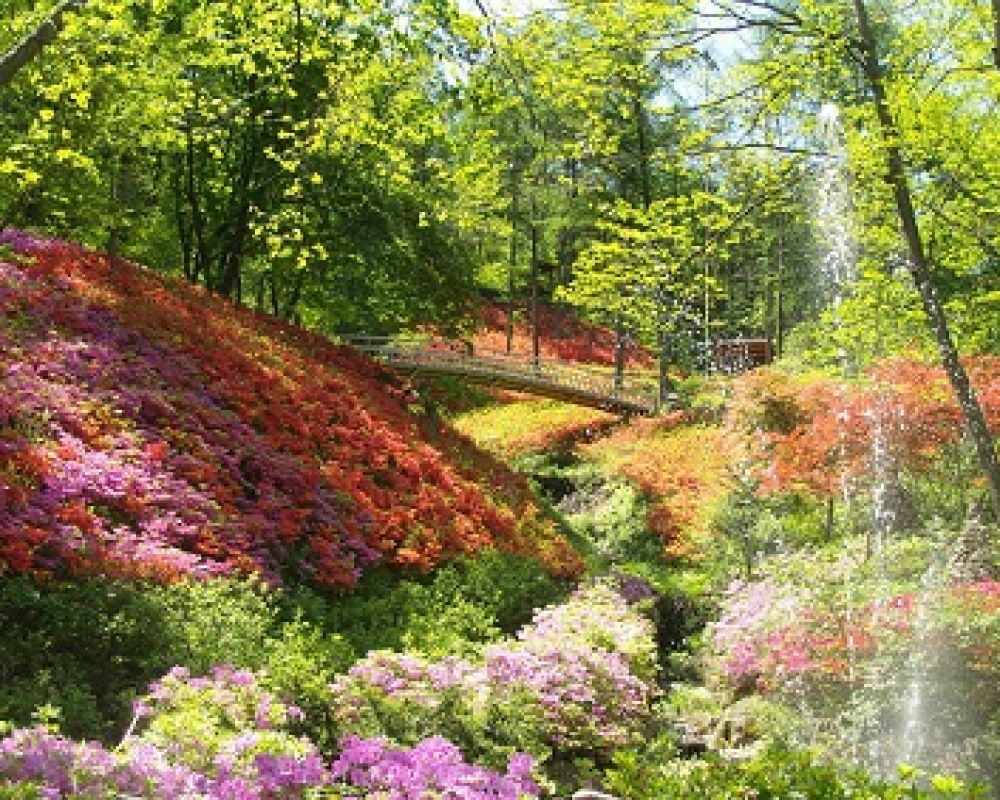 장흥자생수목원 무료이용권