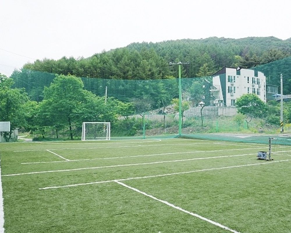 대형운동장(유료,전화예약필수)